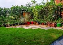 Terrace Garden Most natural way to live